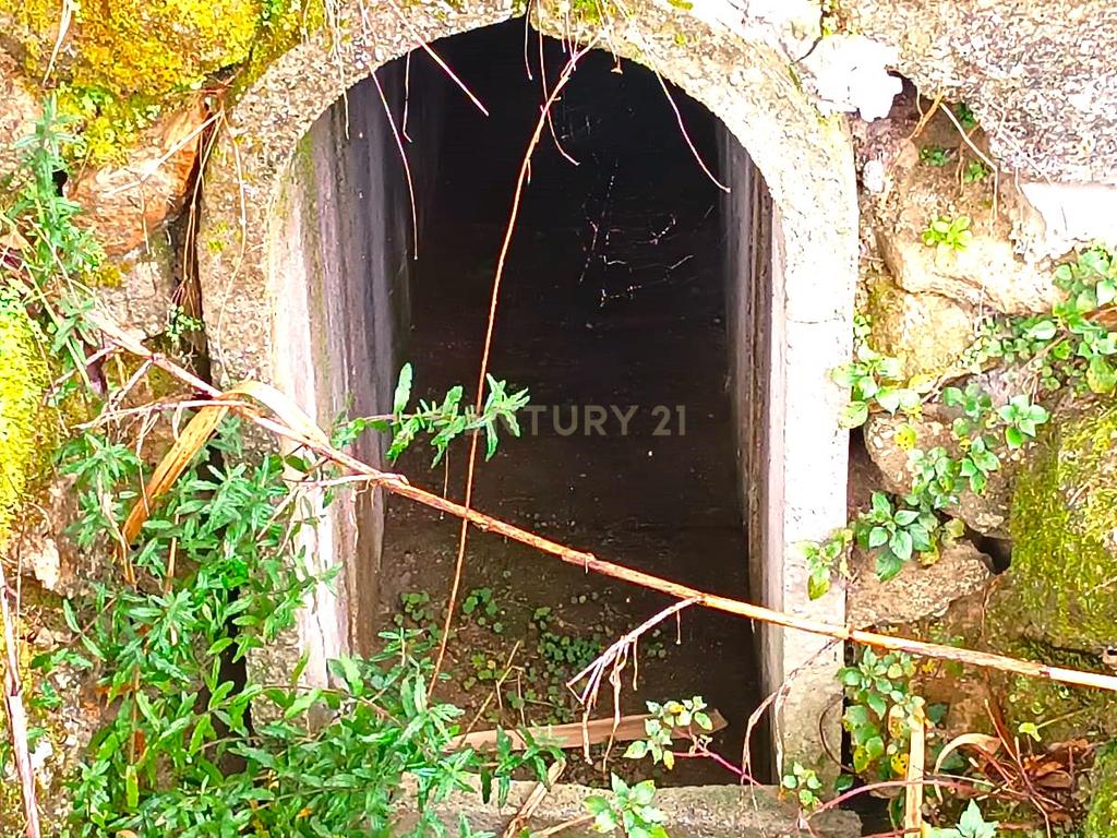 Belíssima ruína em terreno verdejante com vista deslumbrante para o Rio Douro, Baião, Porto - Image 27