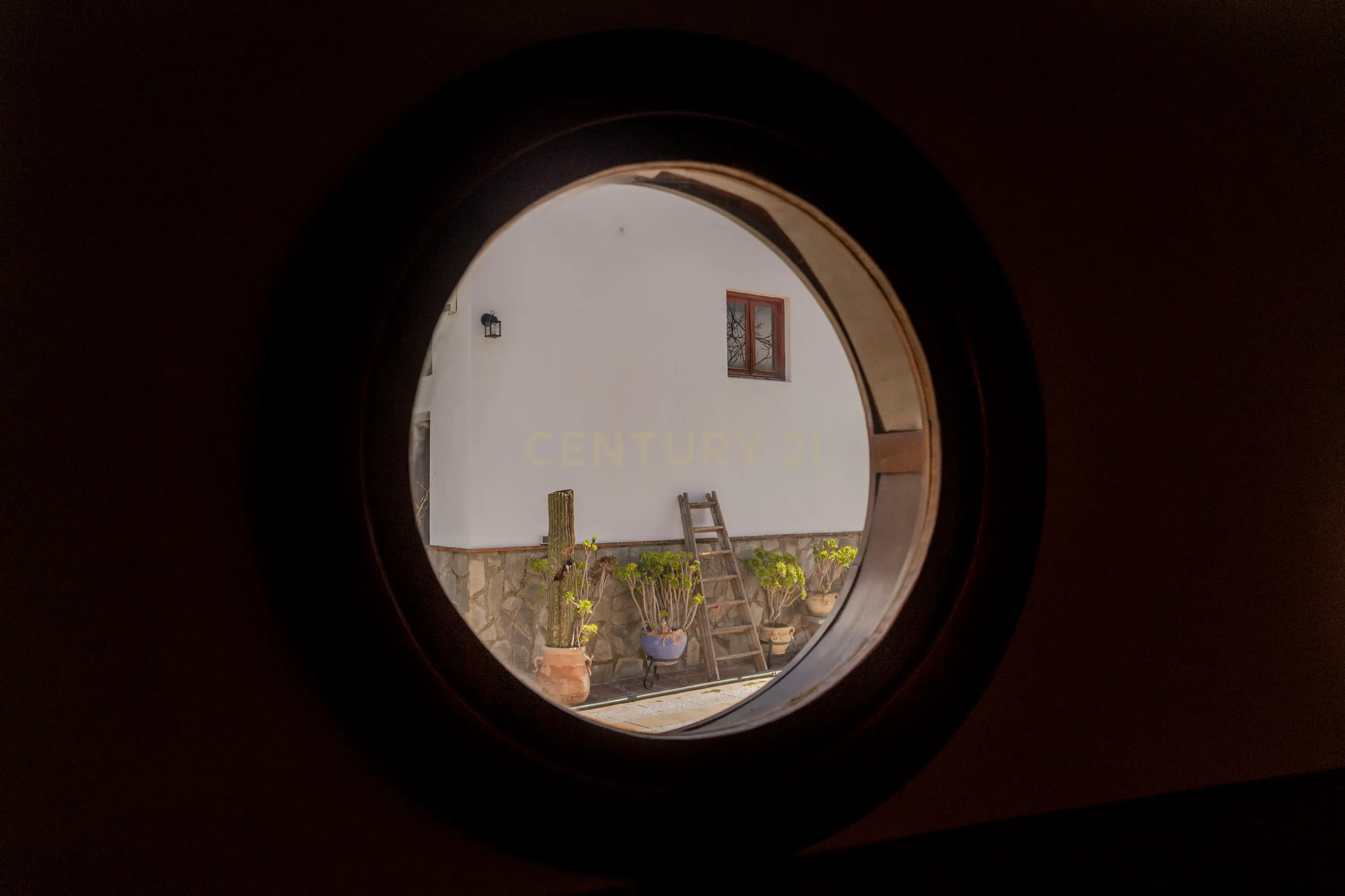 - Image 3