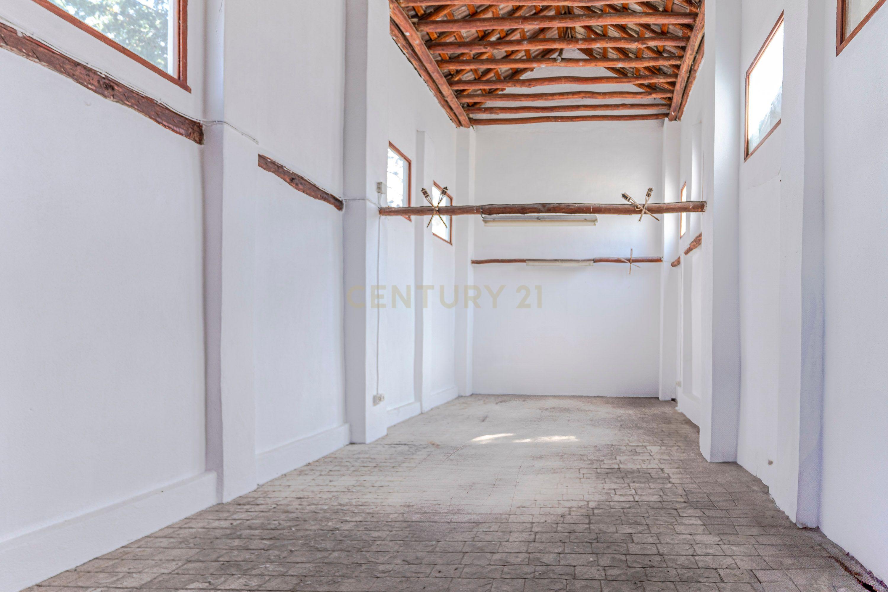 - Image 10