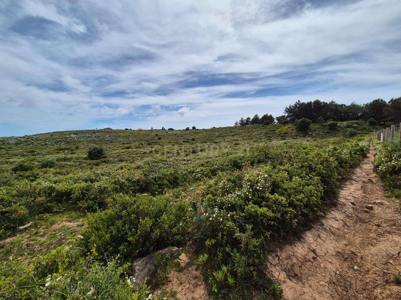 Fotografia 3 de Terreno Rústico com 20.000 m² em Murches, Cascais – Vista Serra de Sintra e Potencial Construção