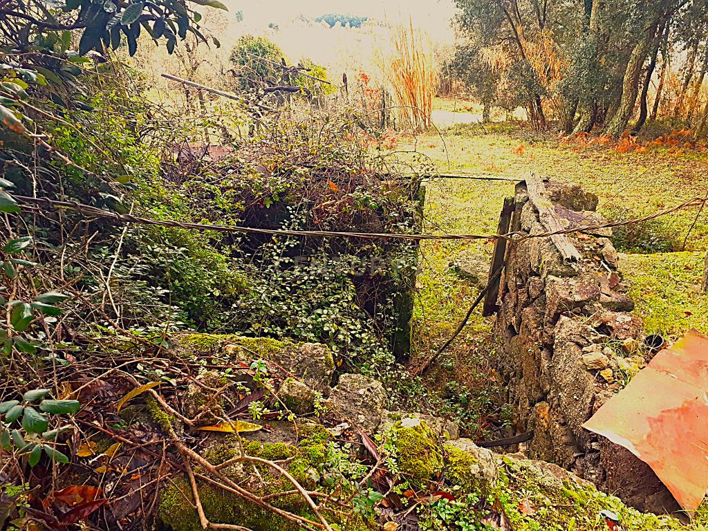 Belíssima ruína em terreno verdejante com vista deslumbrante para o Rio Douro, Baião, Porto - Image 18