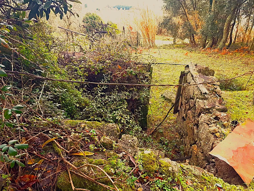 Belíssima ruína em terreno verdejante com vista deslumbrante para o Rio Douro, Baião, Porto - Image 18