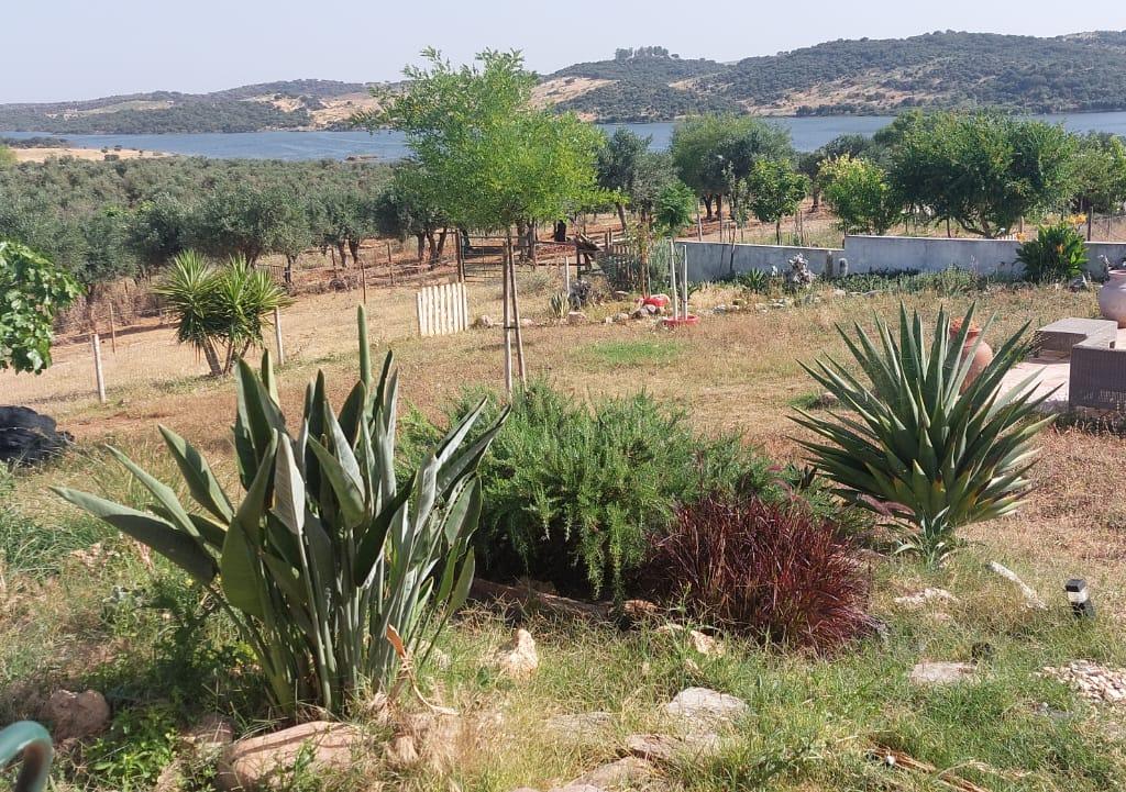 🏡 MONTE ALENTEJANO | Alandroal - Image 16