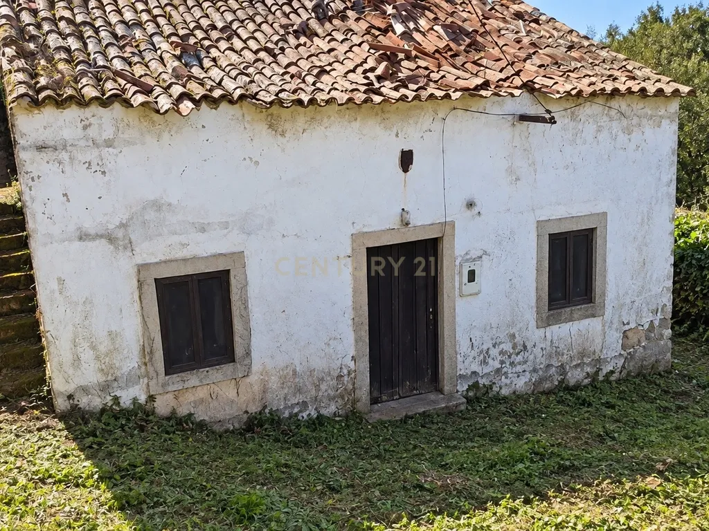 Propriedade para Recuperação em Areias, Ferreira do Zêzere - Image 25