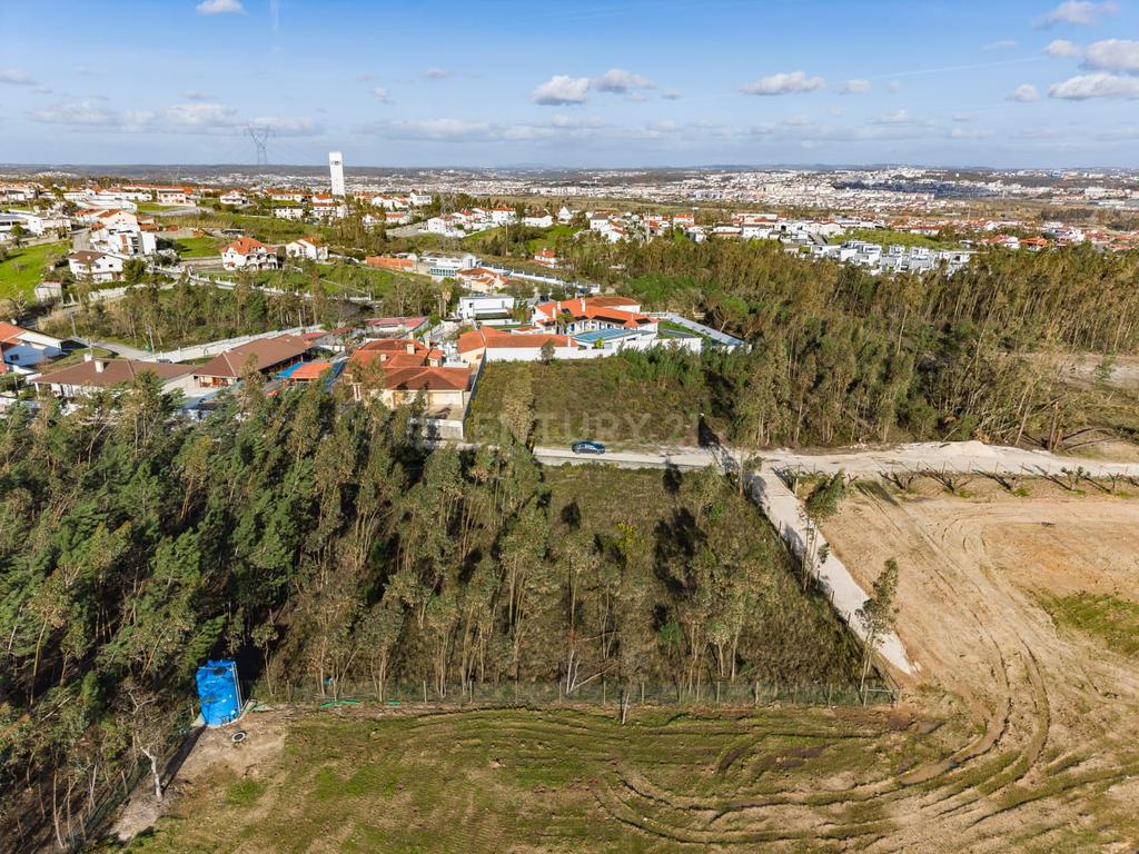 Terreno Rústico com Viabilidade de Construção — Barosa, Leiria - Image 10
