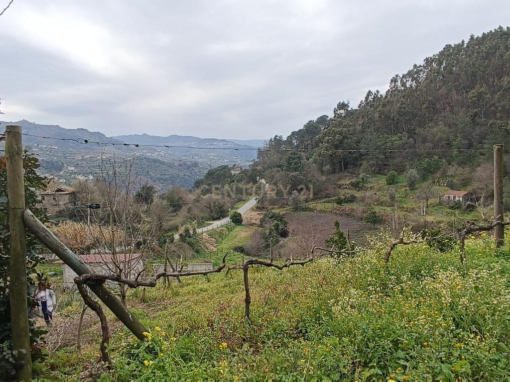 Casa com terreno de construção e agrícola perto do rio Douro em Granja, S. Tomé de Covelas, Baião, Porto - Image 27