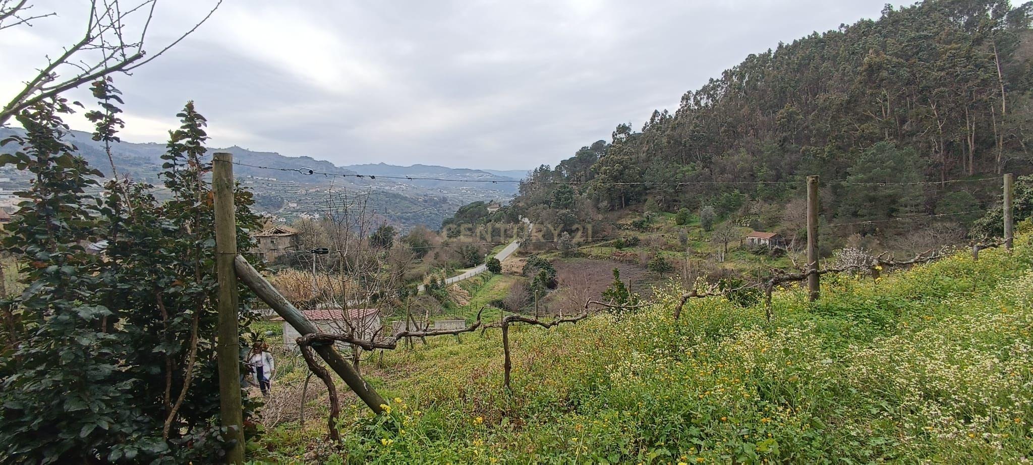 Terreno agrícola com àgua e viabilidade de construção em Granja, S. Tomé de Covelas, Baião, perto do do rio Douro, Porto - Image 38