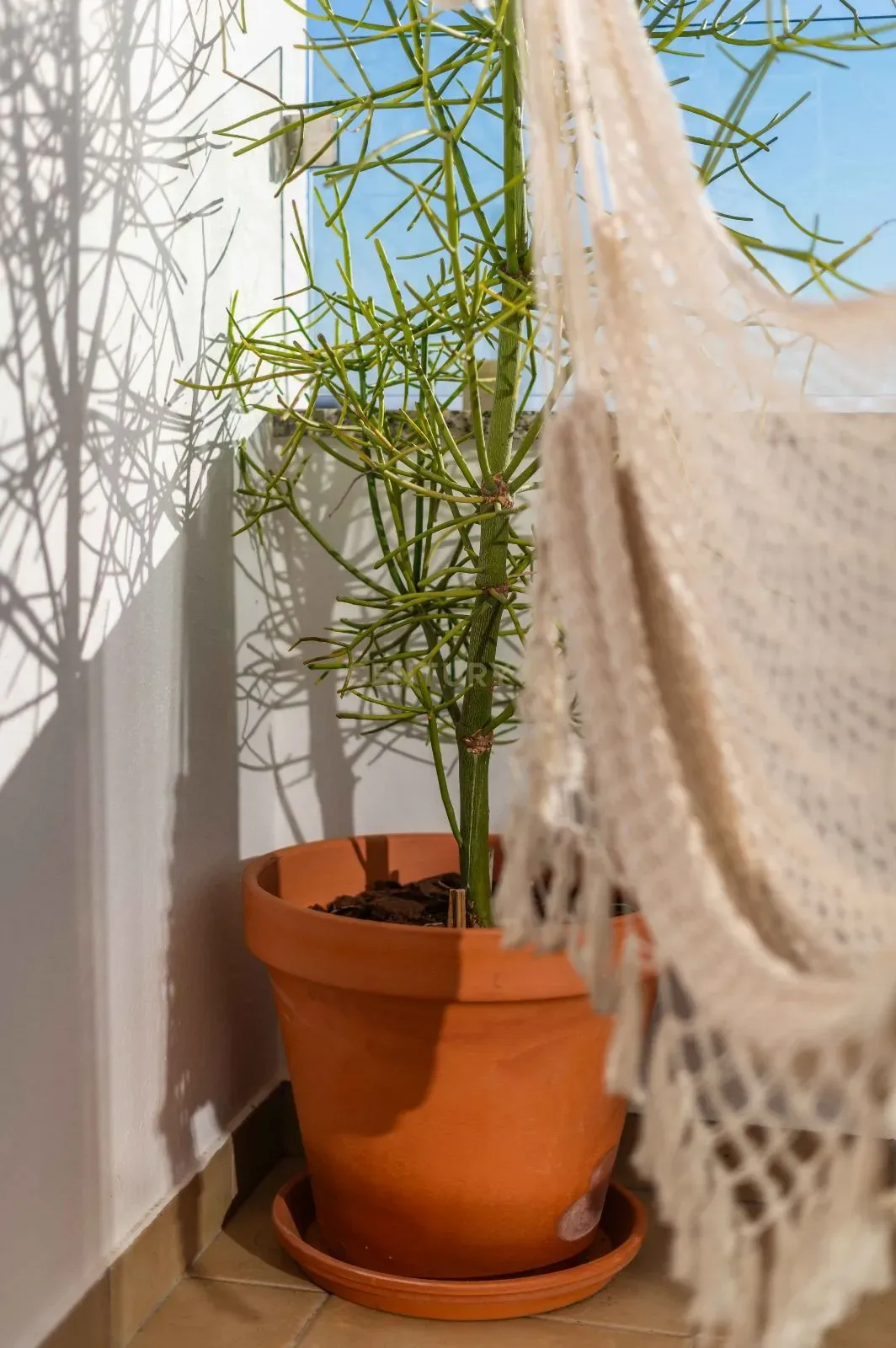 Apartamento T3 à venda em Albufeira e Olhos de Água, Albufeira — foto 22