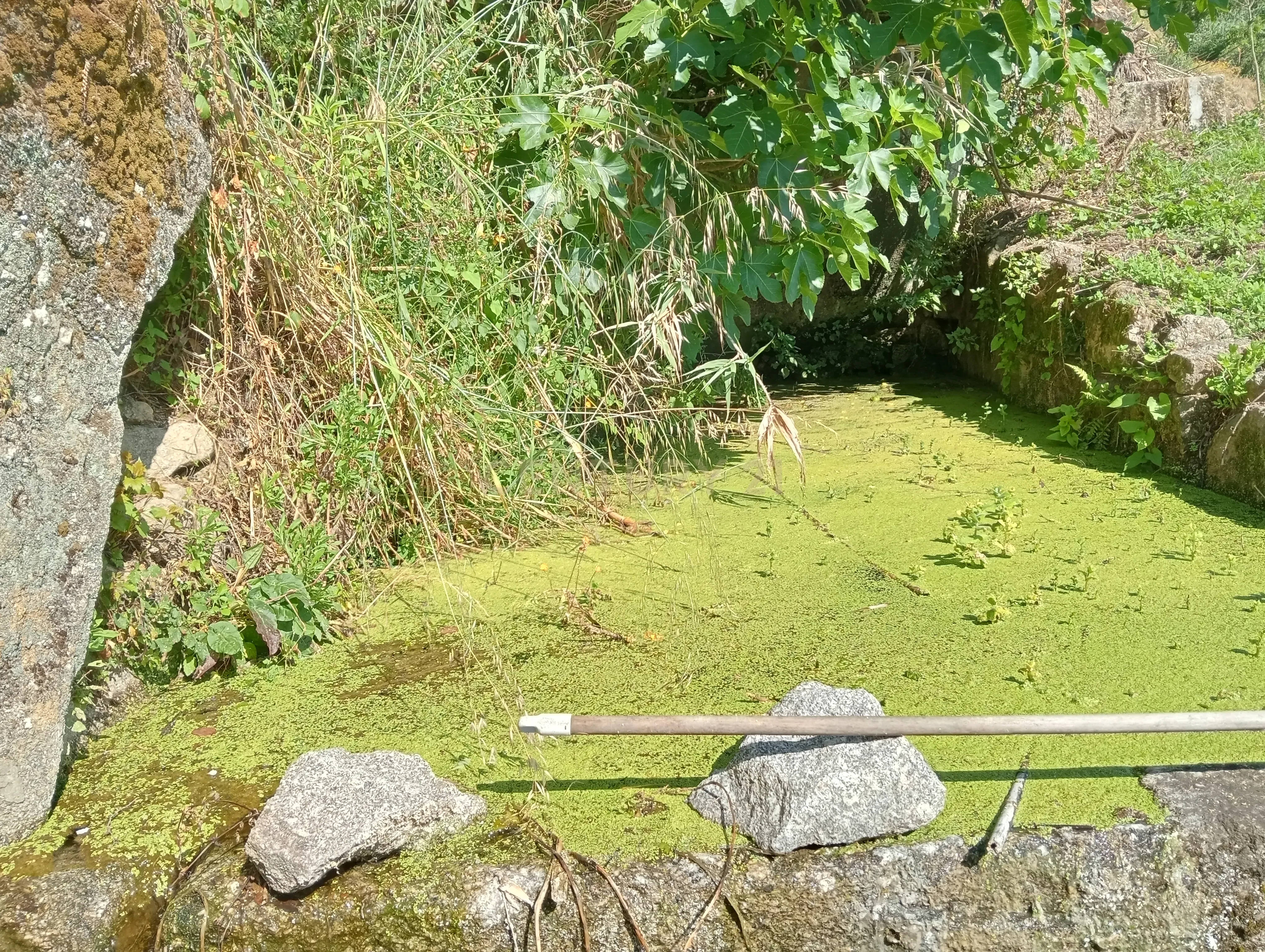 Moradia T2 à venda em Frende, Baião — foto 29