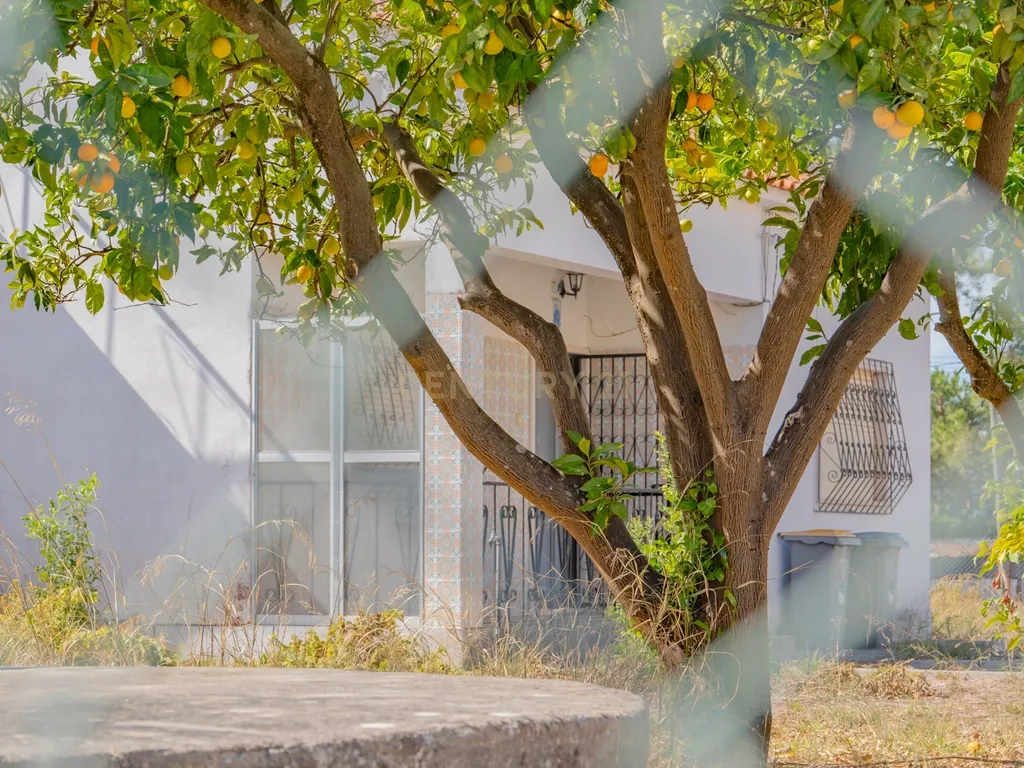 Moradia Isolada com Terreno de 1041 m² – Um Mundo de Possibilidades! - Image 126