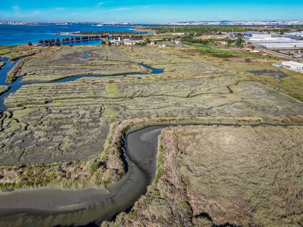 Terreno 20,18ha, Montijo - Seixalinho, para actividades de piscicultura e agricultura - Image 31
