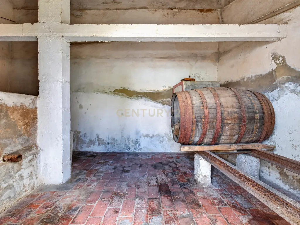 Encantadora Moradia em Tramagal, Abrantes - 5 Quartos - Image 22