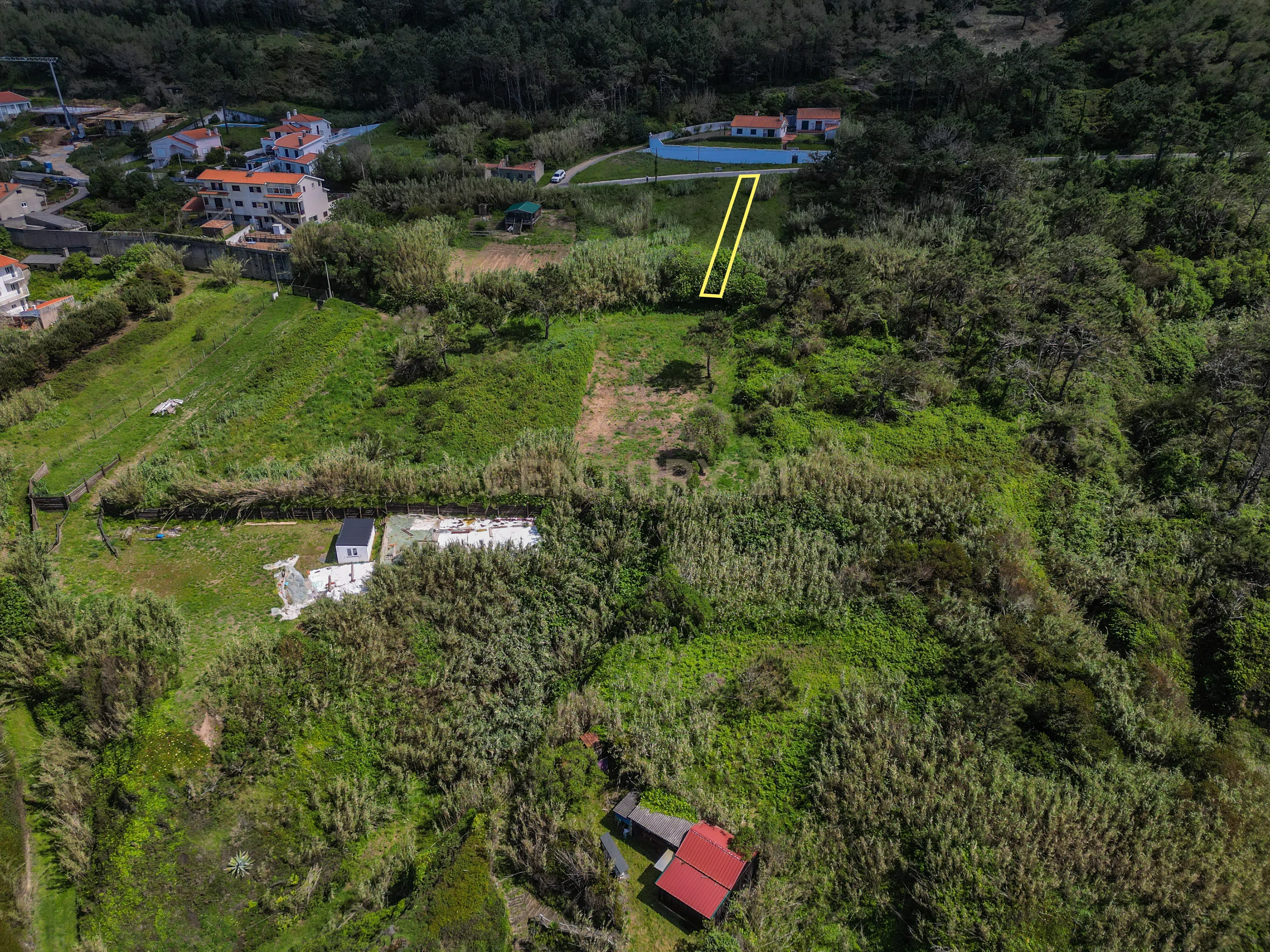 Terreno com Vista Mar e Montanha na Murtinheira - Image 14