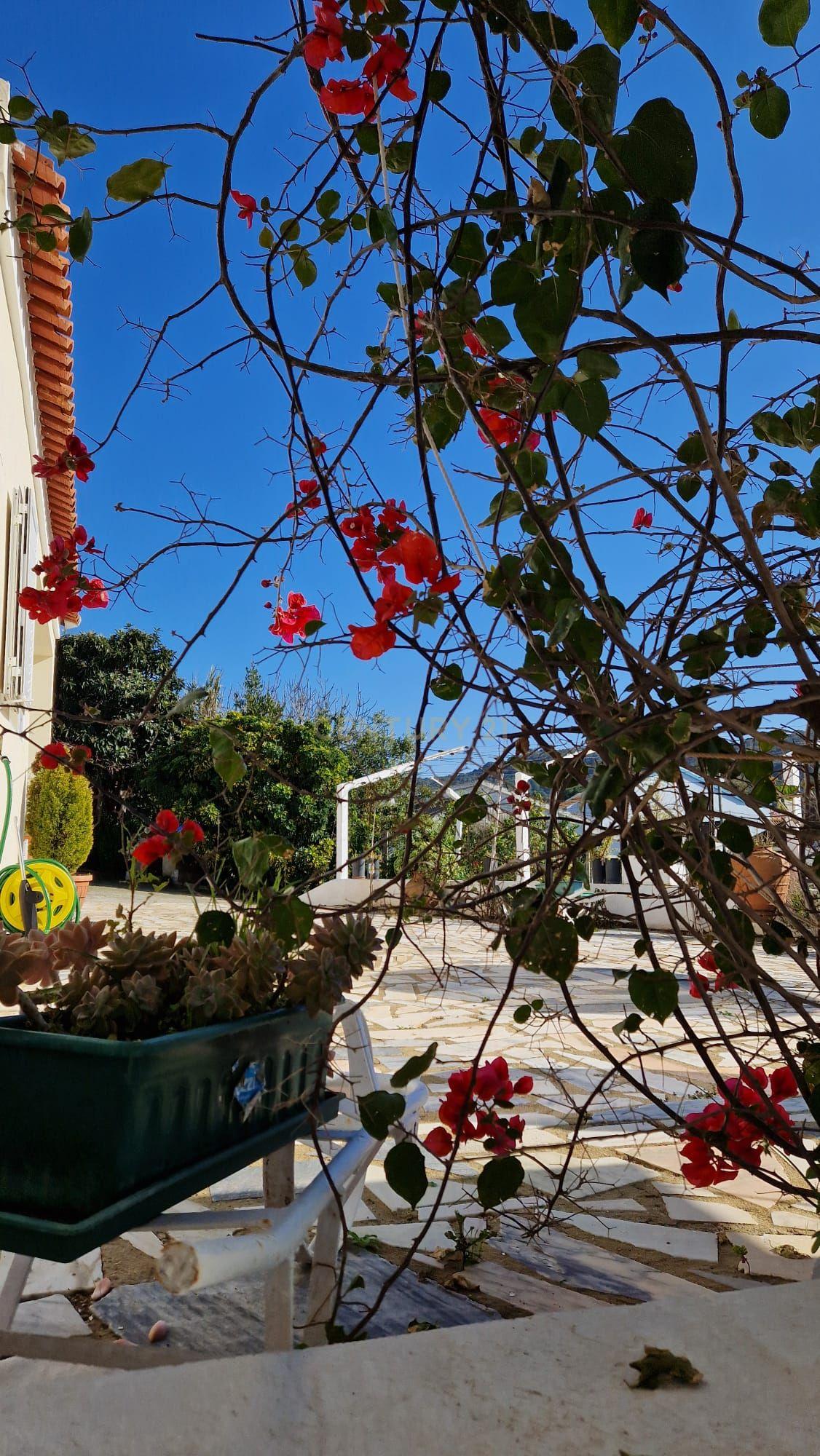 Encanto Rústico em Setúbal: Casa T3 com Quinta Acolhedora - Image 34