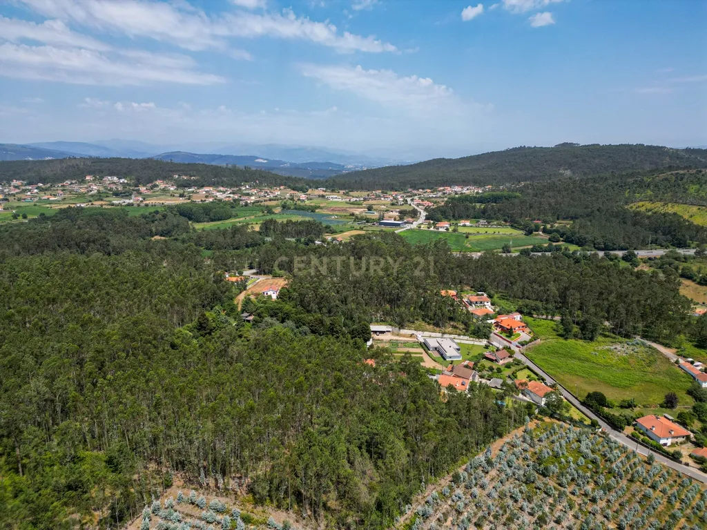 Terreno construção com 899m2 em Alheira - Barcelos - Image 5