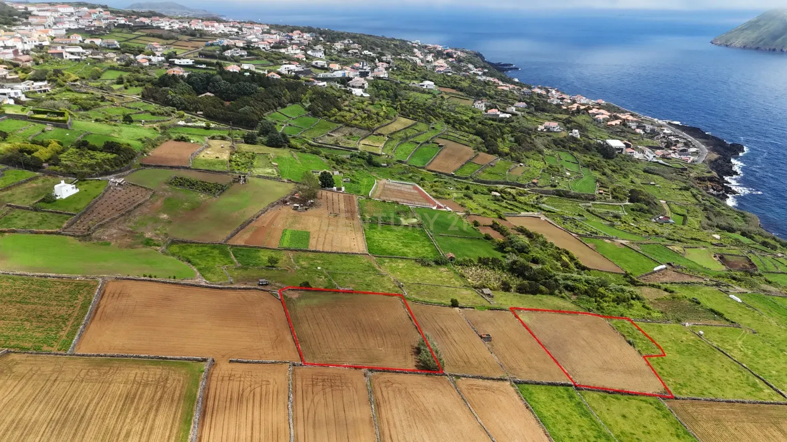 Fotografia 5 de Terrenos agrícolas  na zona da Ladeira Grande – Ribeirinha, Ilha Terceira.
