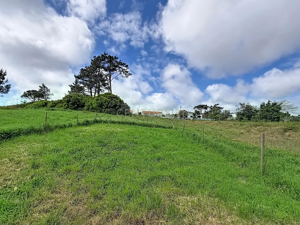Moradia isolada e terreno com projeto aprovado para 4 moradias a 5 minutos da Nazaré - Image 65