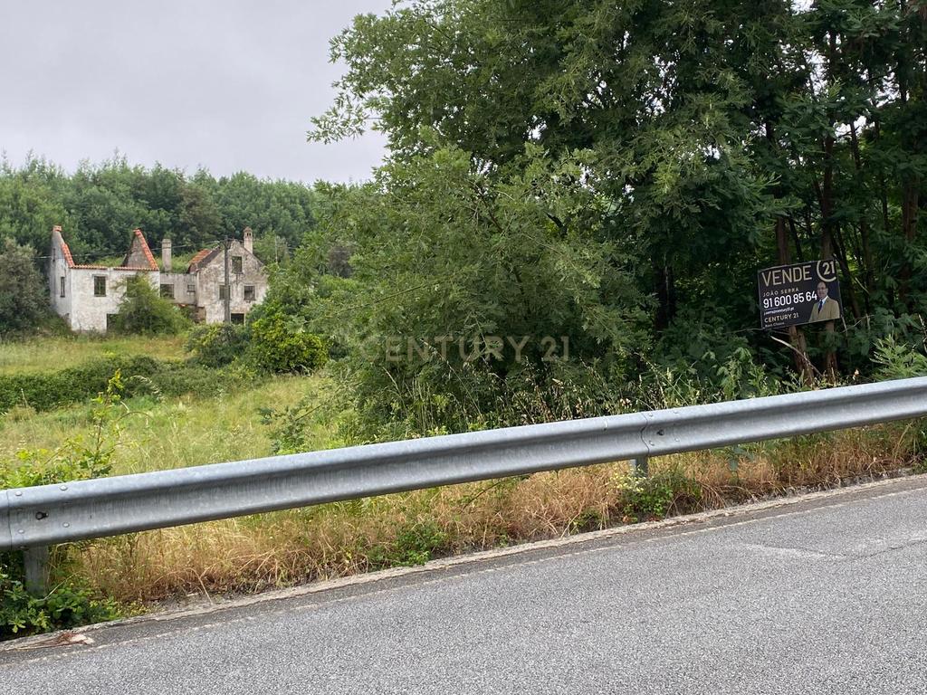 Quinta com Ruína - Oportunidade de Negócio - Image 1