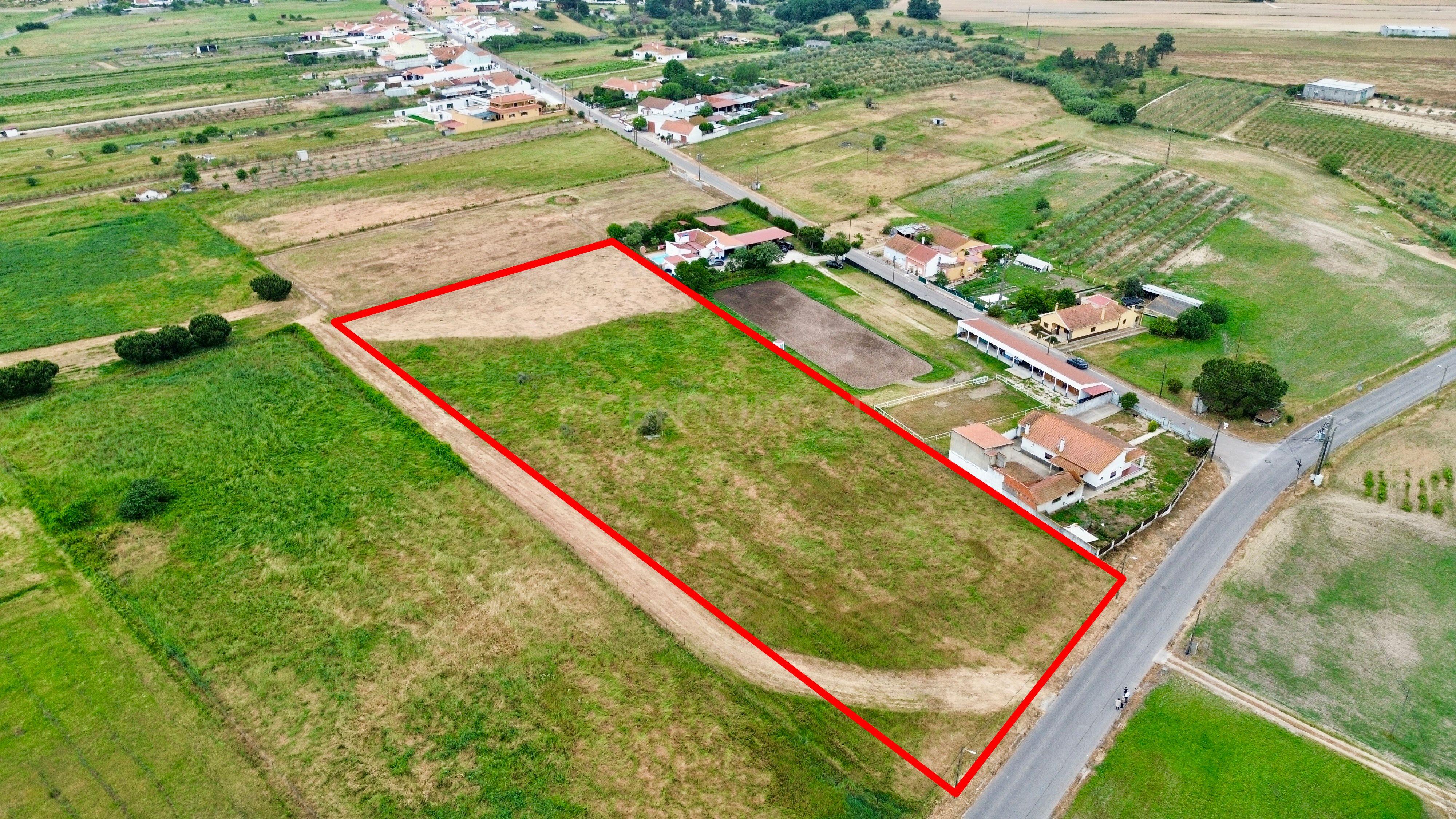 Fotografia 12 de Terreno Rustico com viabilidade de Construção - Alpiarça