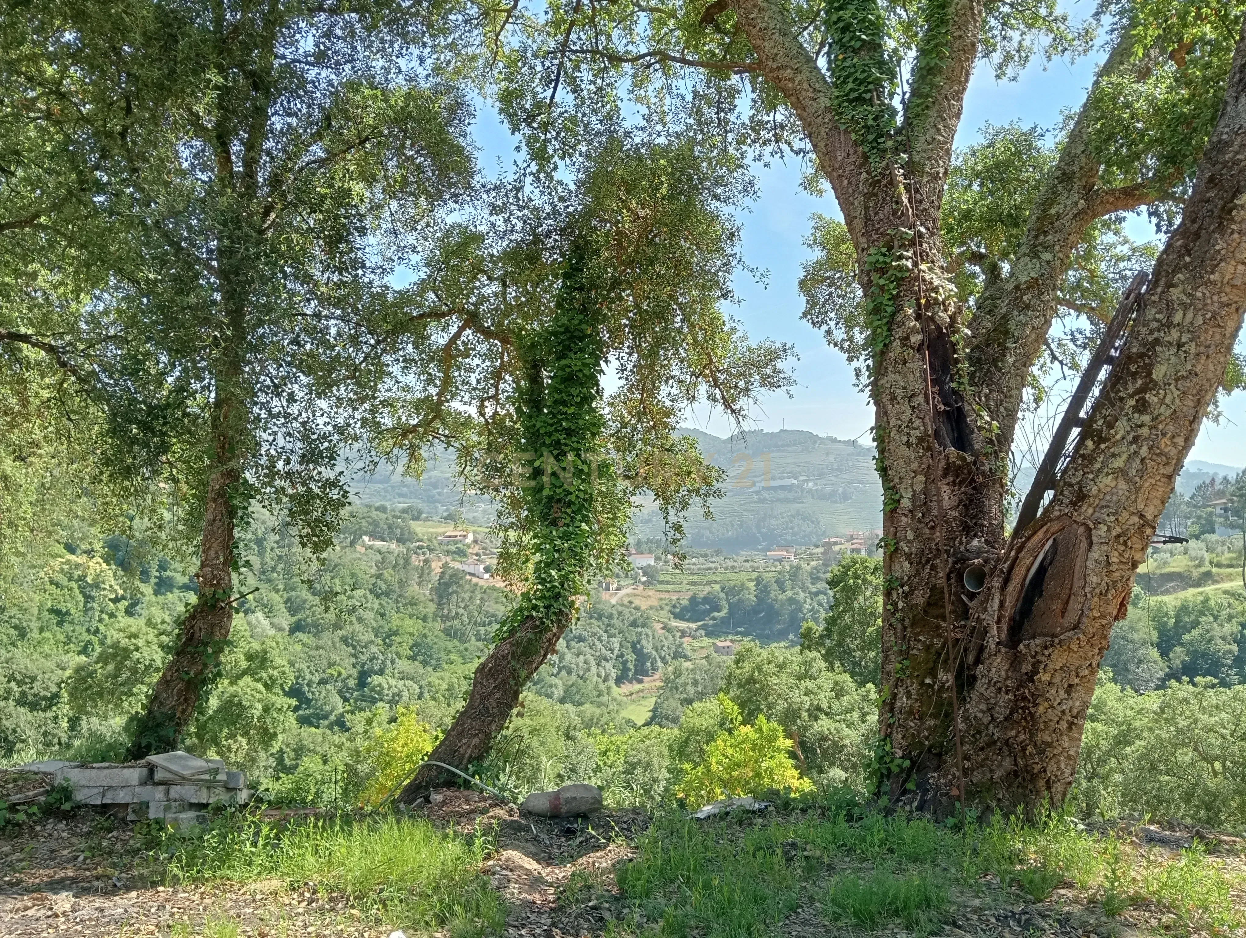 Moradia T2 à venda em Frende, Baião — foto 36