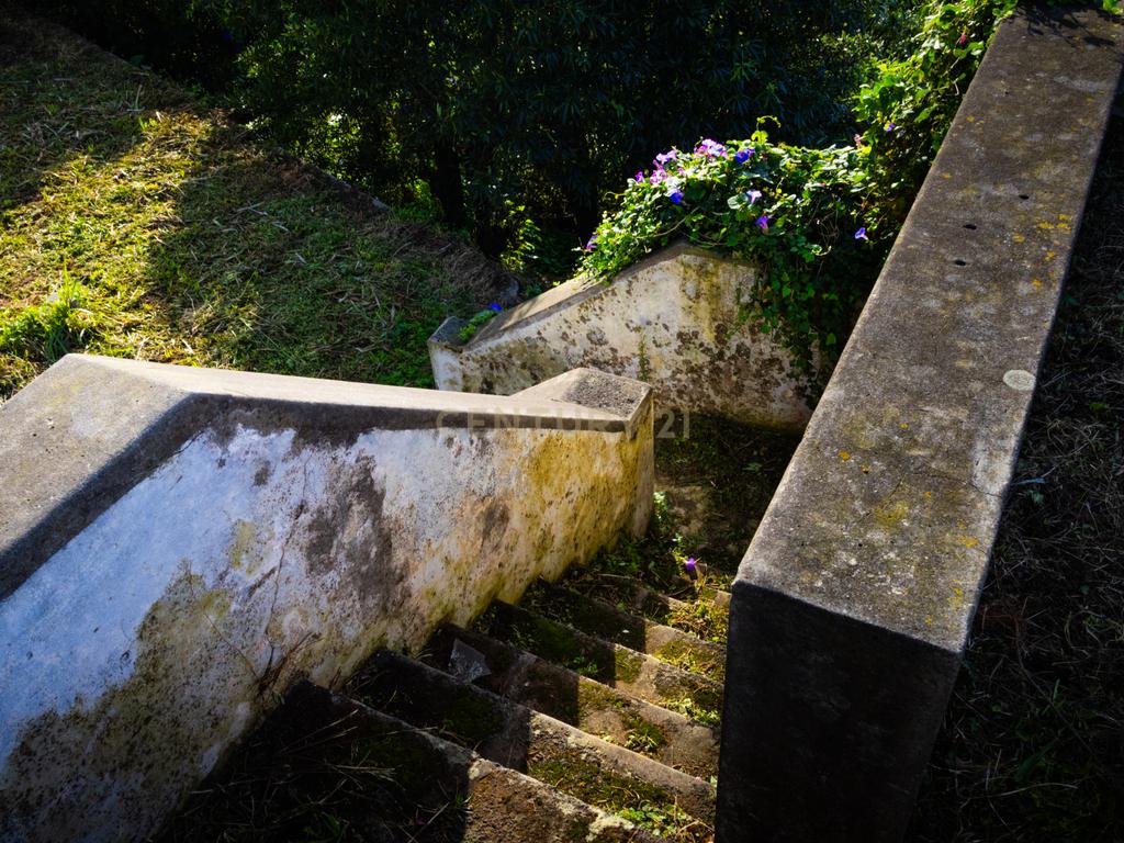 Propriedade Única com Estufas de Ananases e Potencial Urbano — Abelheira de Baixo, São Roque - Açores - Image 13