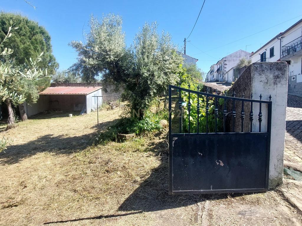 Terreno em Alcafozes, Idanha a Nova com Vista e Árvores de Fruto - Image 19