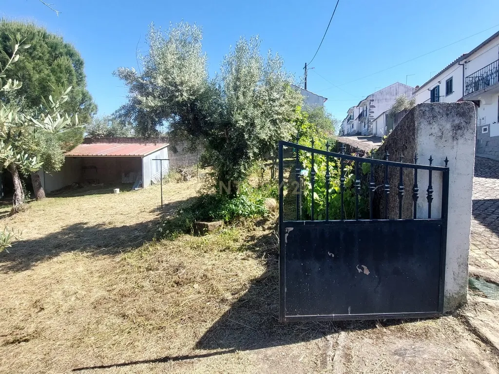 Terreno em Alcafozes, Idanha a Nova com Vista e Árvores de Fruto - Image 19