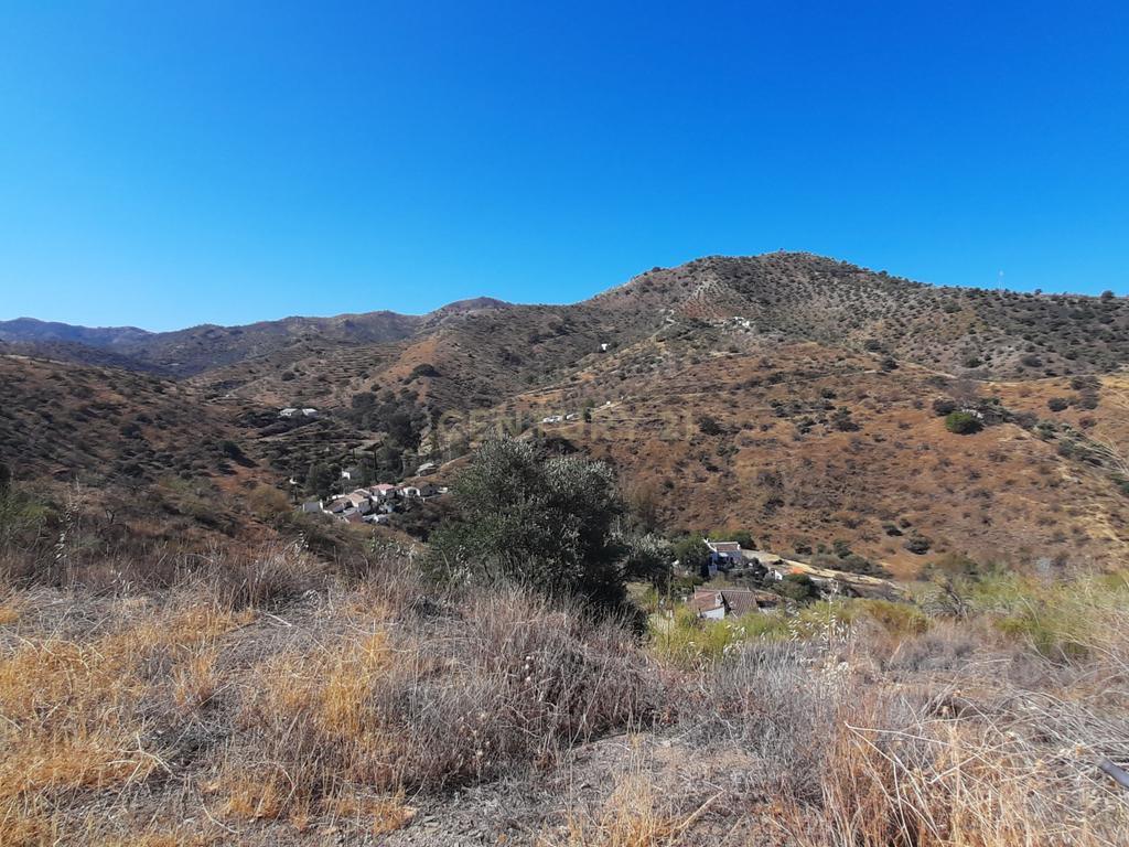 QUINTA RÚSTICA COM 11.000 m² DE TERRENO, PRIVACIDADE E VISTAS PANORÂMICAS EM ÁLORA - Image 23