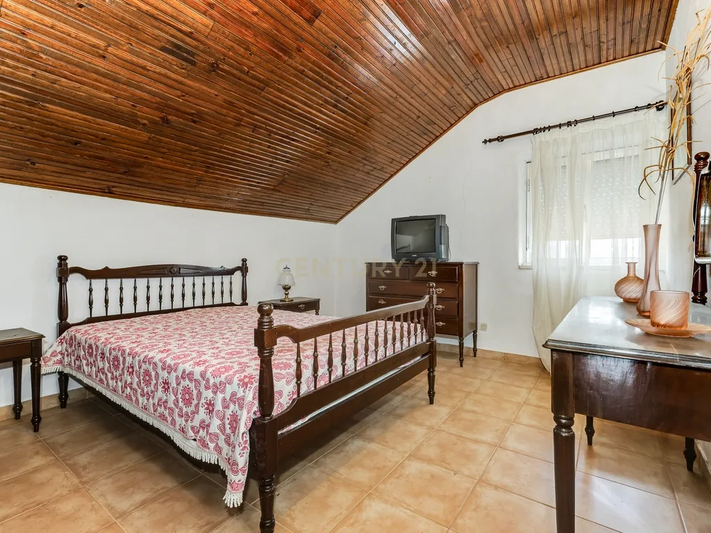 OPORTUNIDADE 360º – Moradia T3 + Posto de Combustível GALP + Terrenos (36 000 m²) - Image 89