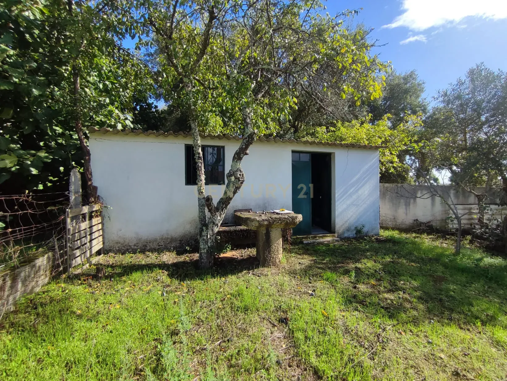 Terreno Urbano, Tinalhas, Castelo Branco - Image 5