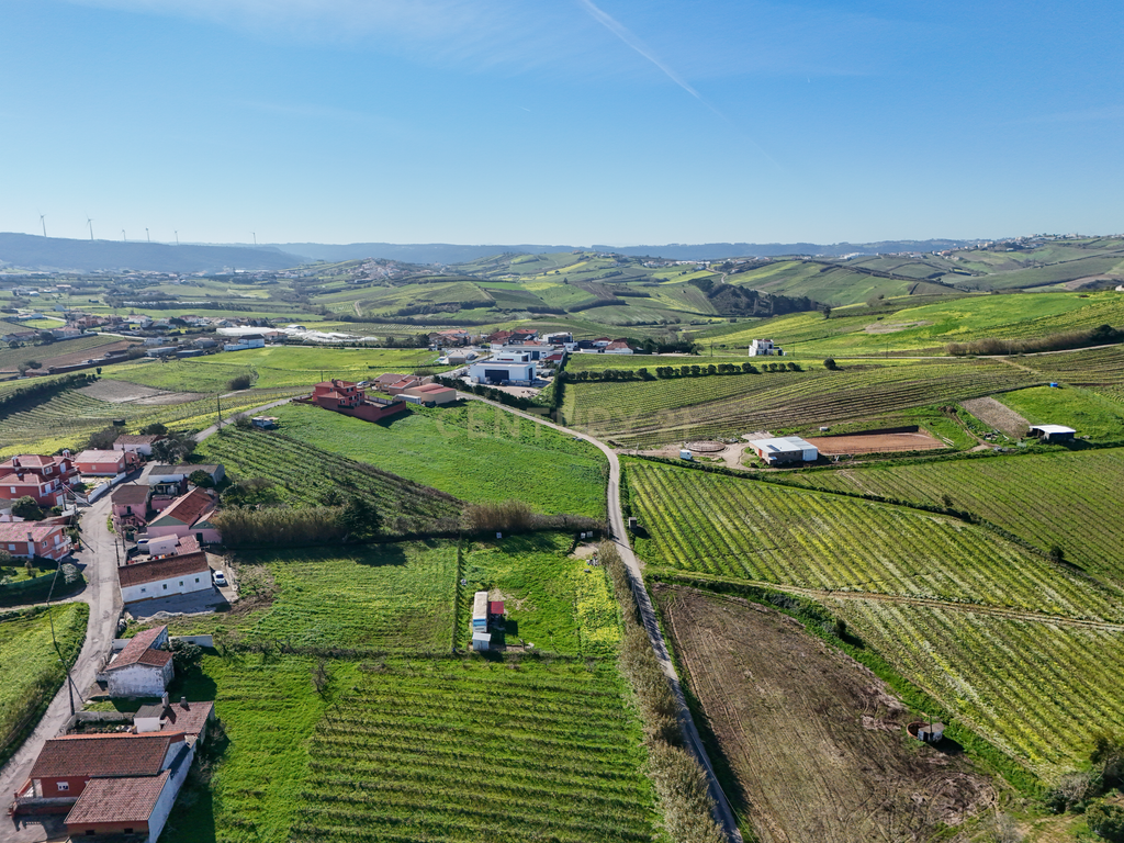 Terreno para Construção - Casal da Serpegeira, Ventosa (Torres Vedras) - Image 6