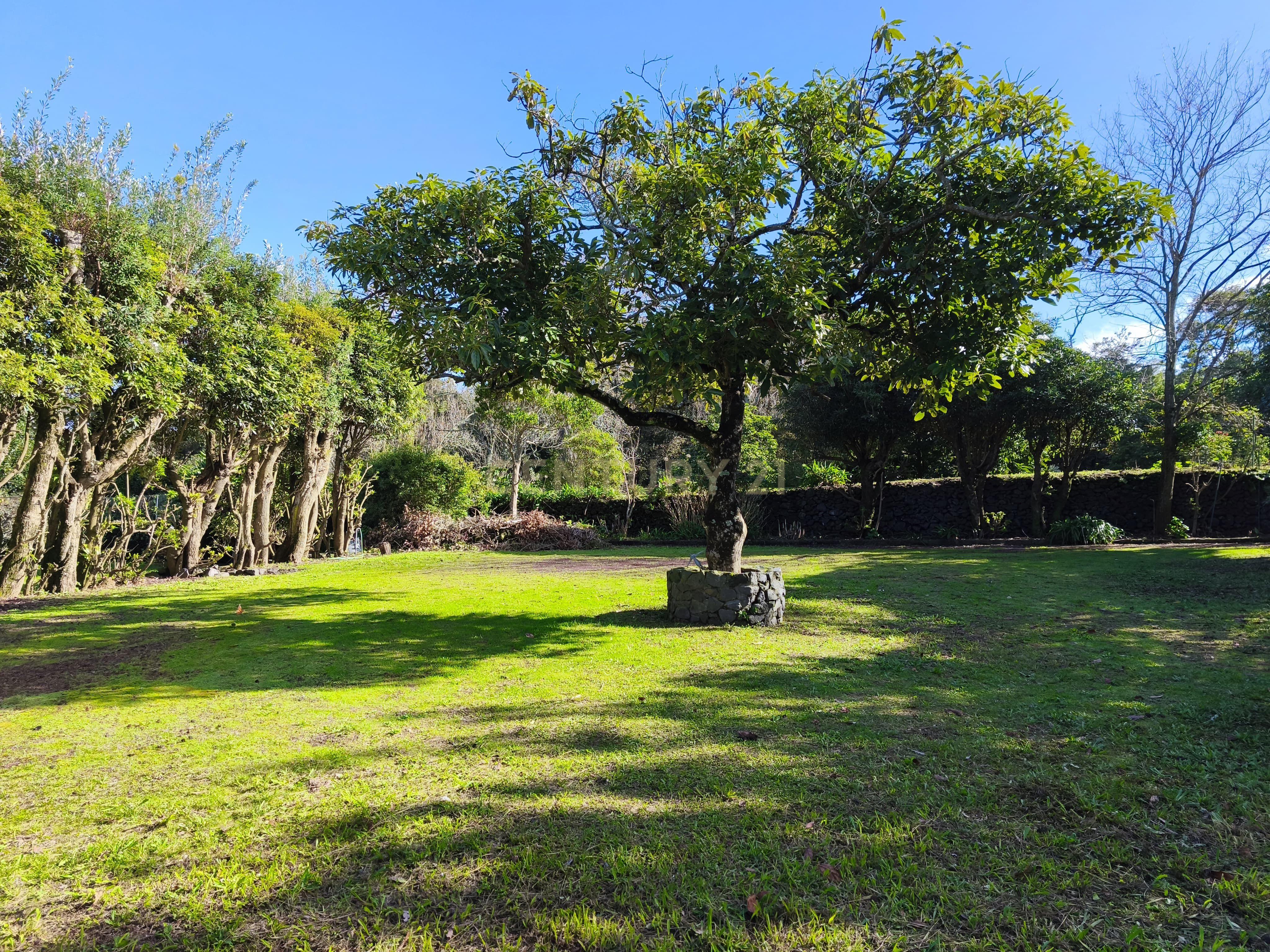Fotografia 4 de Exclusiva Moradia T4 na Costa Norte de São Miguel - Capelas