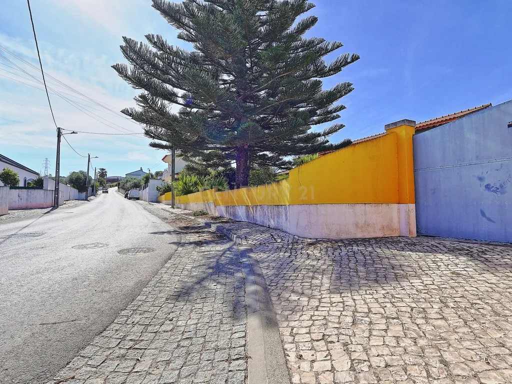 Oportunidade de Investimento, moradia com 6.500 m² de Terreno - Image 37