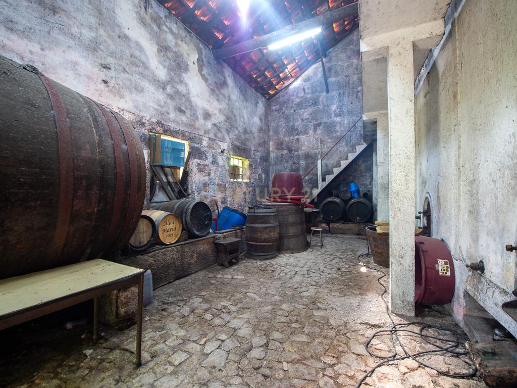 Quinta Encantadora T4 em Tabuaço, Viseu - Image 16