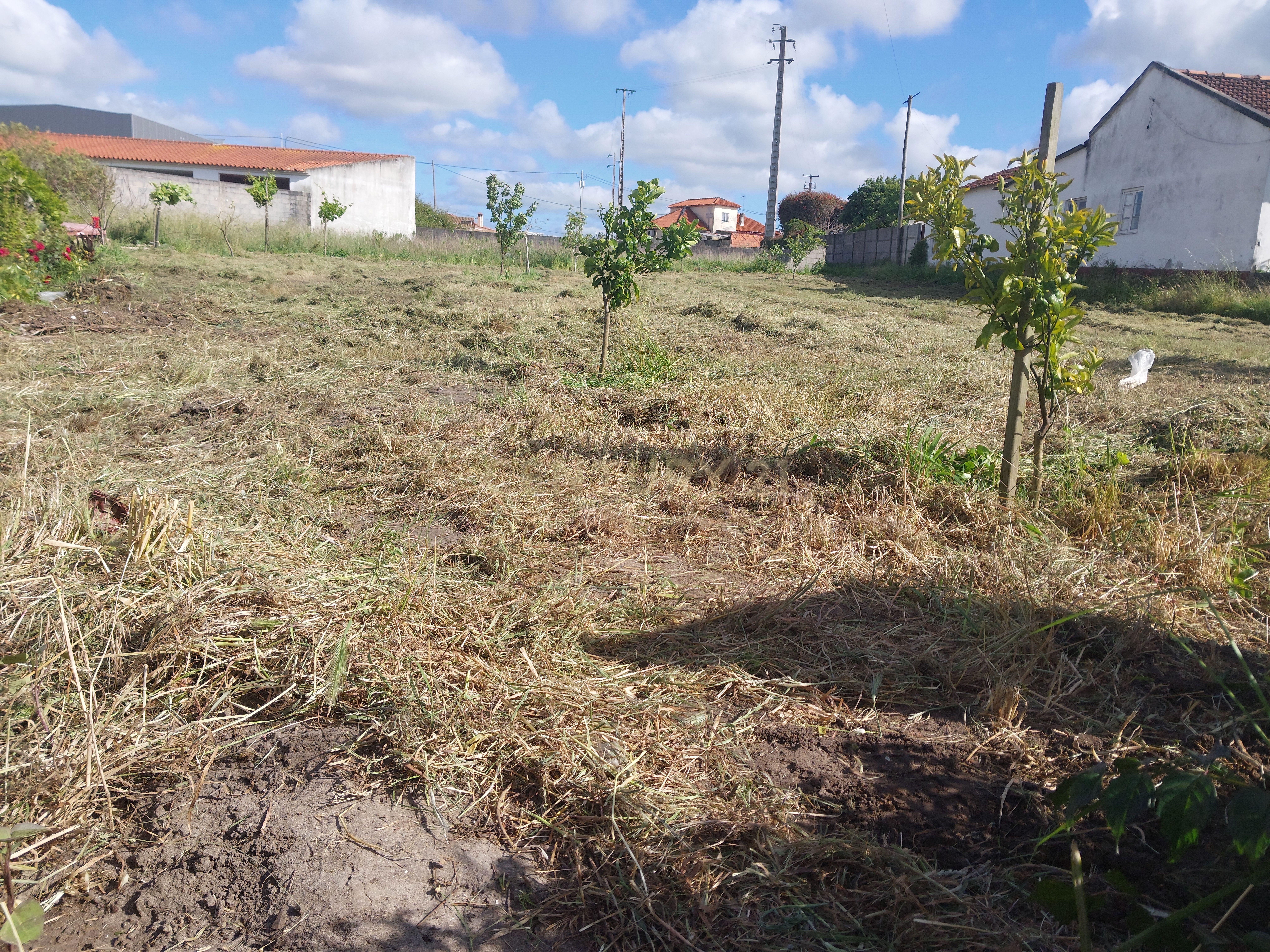 Fotografia 7 de Terreno Urbano com 500m² em Casal Novo – Amor