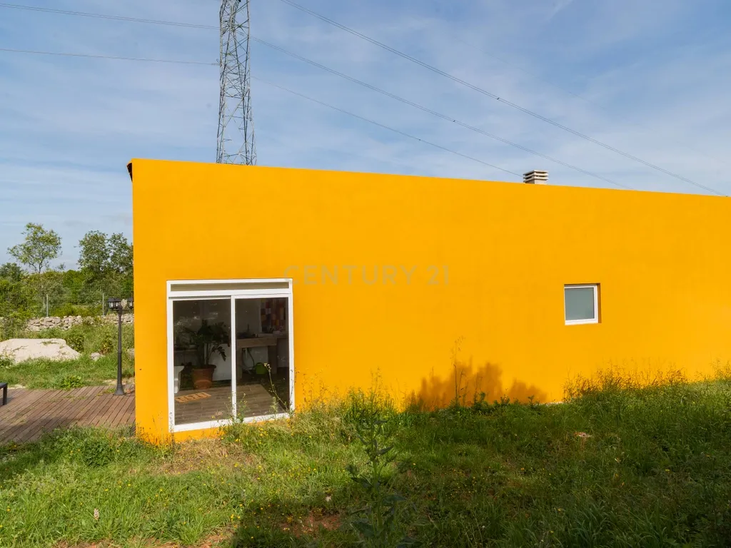 Quinta com habitação - Alcobaça - Image 4
