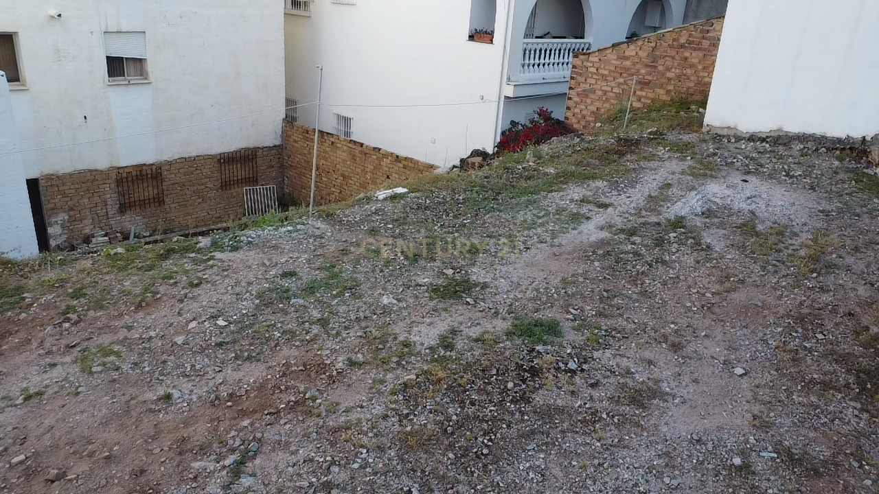  - Image 6