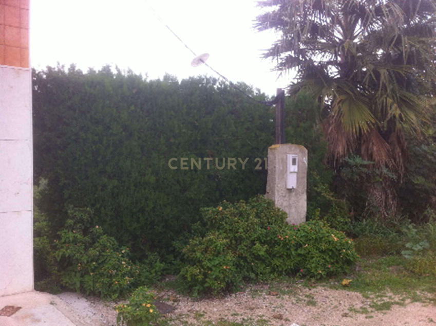 Terreno - Image 3