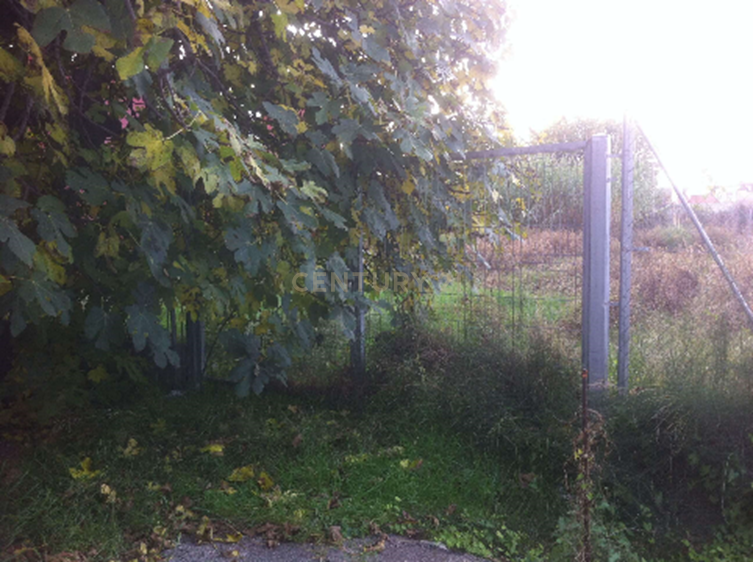 Terreno - Image 4
