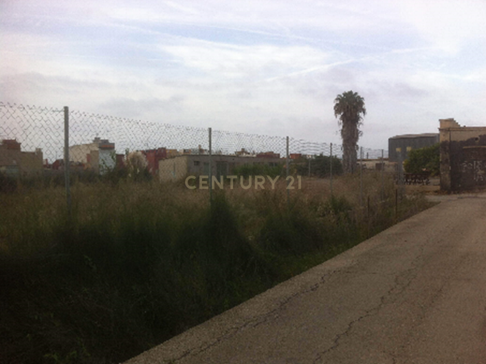 Terreno - Image 5