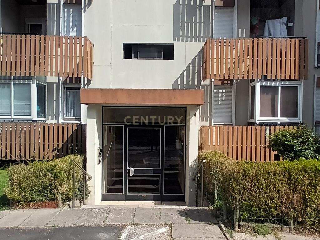 Apartamento T3 em Santo António dos Cavaleiros – Arrendamento - Image 19