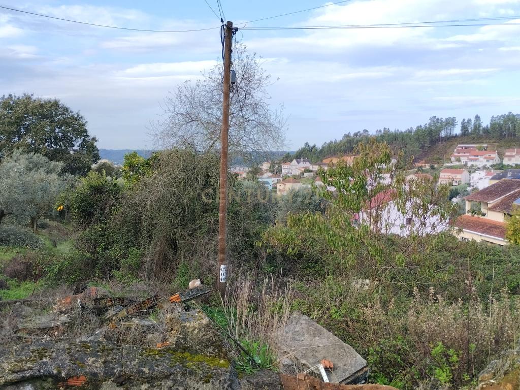 Terreno de construção habitacional em Pombal - Image 5