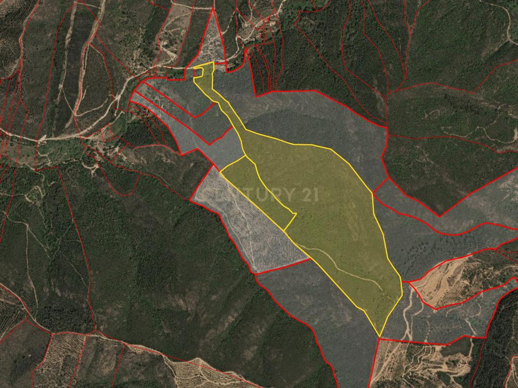 Terreno Rústico com Ruína em Aljezur – 26,88ha de Natureza Pura com Ribeira - Image 5