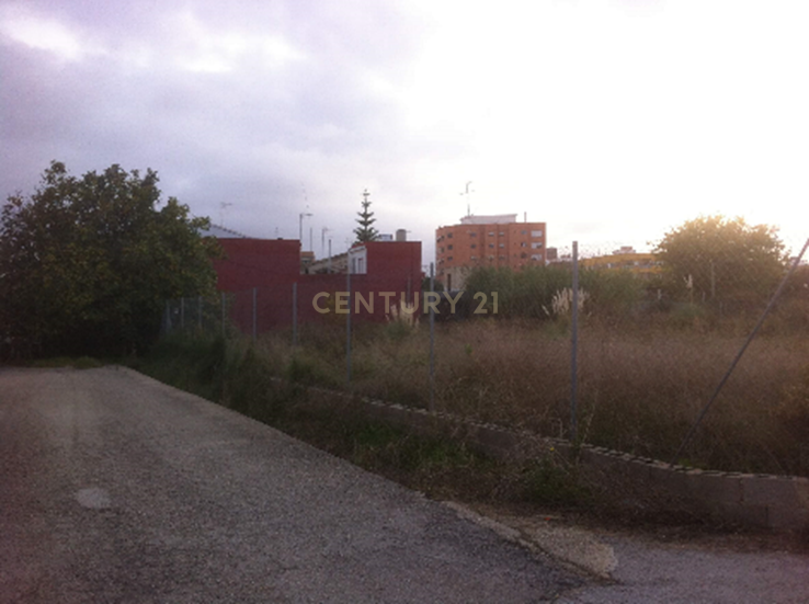 Terreno - Image 6