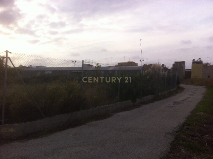Terreno - Image 7