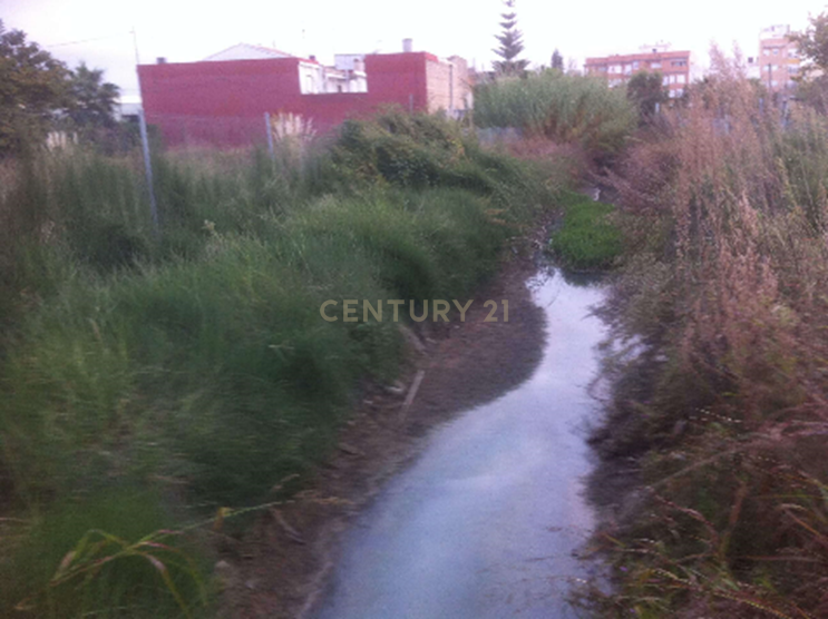 Terreno - Image 8