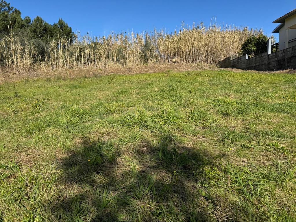 Terreno Panorâmico em Pombal - 1020m² por 34.500€ - Image 15