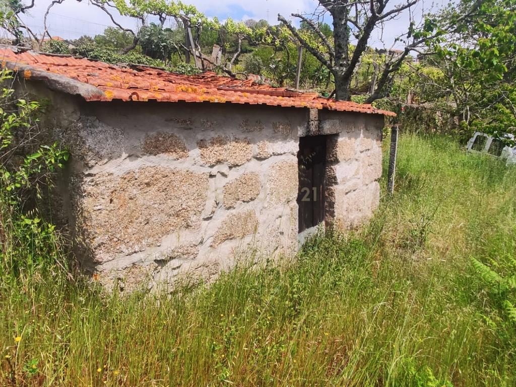 Terreno com casinha e vista para o rio Douro, em S. Tomé de Covelas, Baião para projeto agrícola - Image 1