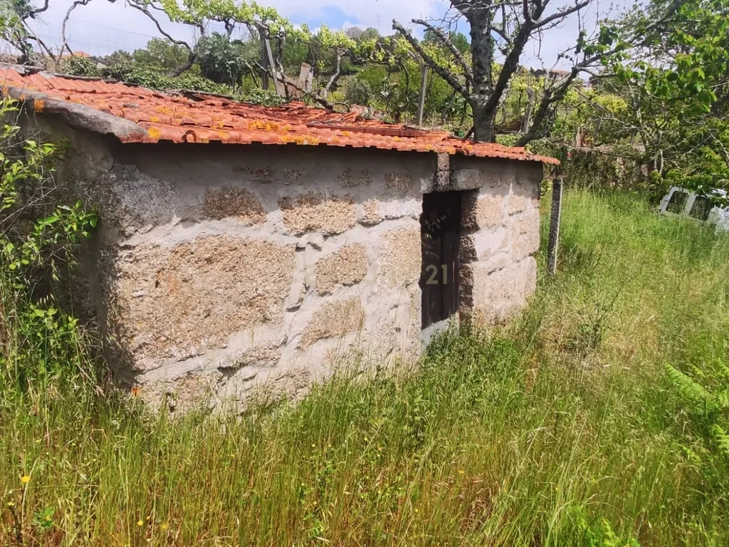 Terreno com casinha e vista para o rio Douro, em S. Tomé de Covelas, Baião para projeto agrícola - Image 1