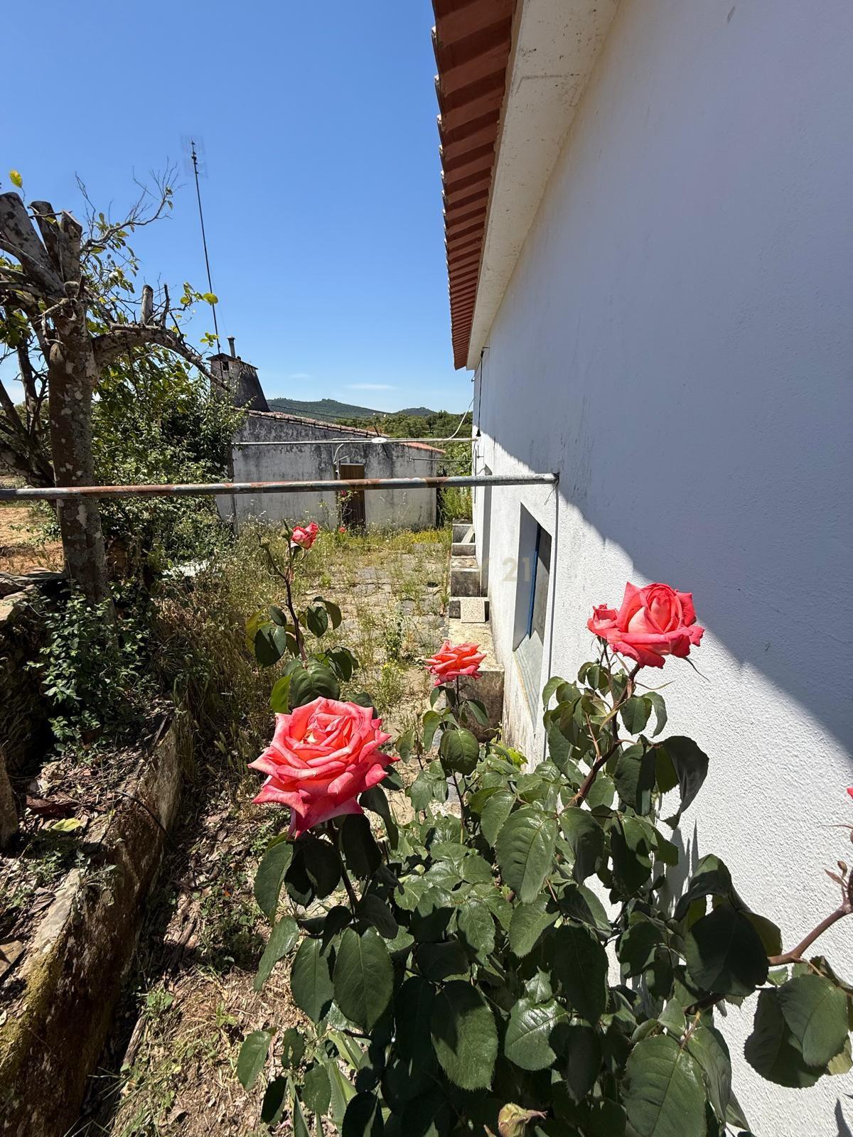 Fotografia 2 de Casa de Campo em Alegrete, Portalegre - Oportunidade Única